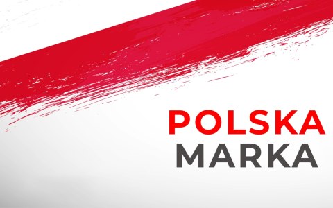 Pompa Zatapialna Wody Czystej Brudnej W.D.S 2850W 2" 30.000 l/h