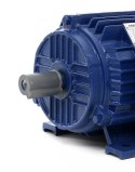 SILNIK ELEKTRYCZNY TRÓJFAZOWY 380V 2840 RPM 1,5kW KRAFT&DELE