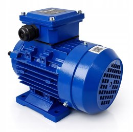 ONDRAGON SILNIK ELEKTRYCZNY JEDNOFAZOWY 2,2KW 2800RPM 230V MOCNY