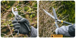 ZESTAW SEKATORÓW I NOŻYC OGRODOWYCH DO GAŁĘZI KRZEWÓW ŻYWOPŁOTU 3 SZT