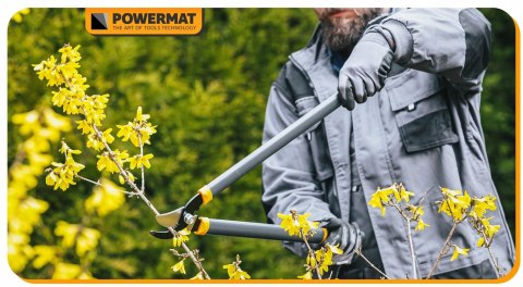 ZESTAW SEKATORÓW I NOŻYC OGRODOWYCH DO GAŁĘZI KRZEWÓW ŻYWOPŁOTU 3 SZT