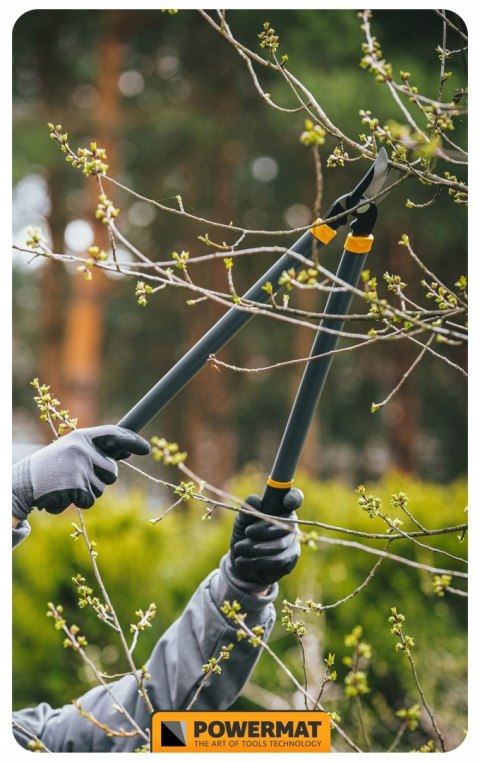 ZESTAW SEKATORÓW I NOŻYC OGRODOWYCH DO GAŁĘZI KRZEWÓW ŻYWOPŁOTU 3 SZT