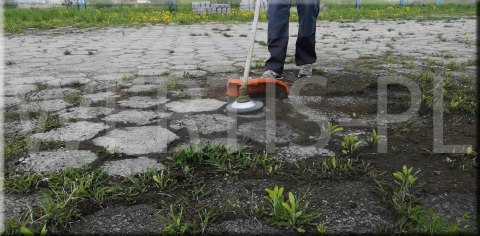 SZCZOTKA DO CZYSZCZENIA KOSTKI BRUKOWEJ DRUCIANA SKRĘCANA 200x25,4 - Wertis