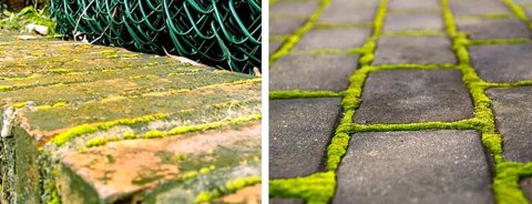 SZCZOTKA DO KOSY SPALINOWEJ SZCZOTKA DRUCIANA DO KOSY TARCZA NA CHWASTY