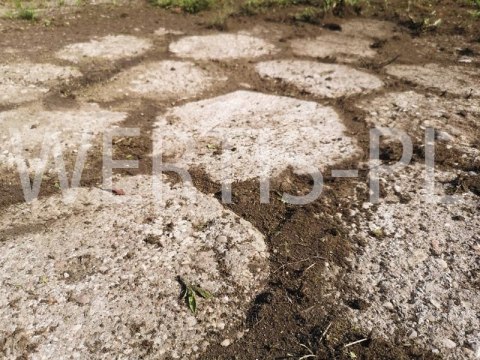 SZCZOTKA DO CZYSZCZENIA KOSTKI BRUKOWEJ SZCZOTKA DO KOSY NA CHWASTY DRUCIAK