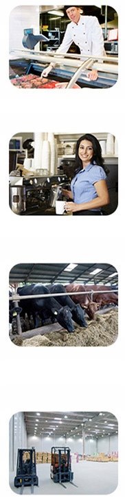 LAMPA OWADOBÓJCZA IKN30 30W 120m2 KOMARY MUCHY