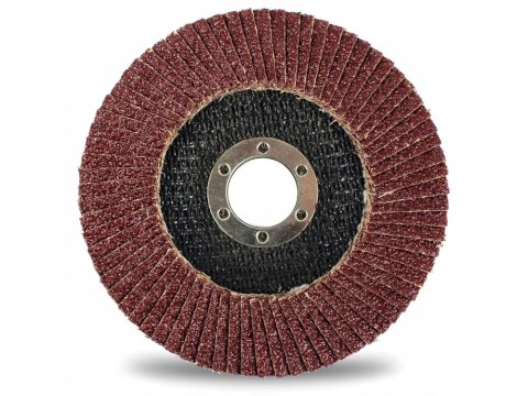 Komplet Tarcz Listkowych do Drewna Metalu 115 mm P40 10 Sztuk Kraft&Dele